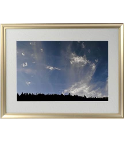 Amazon.co.jp: 秋元 隆良『奇跡の写真 ～鳳凰（発光）～』 : ホーム